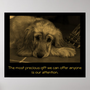 Söt Hund med inspirationsoffert. Poster