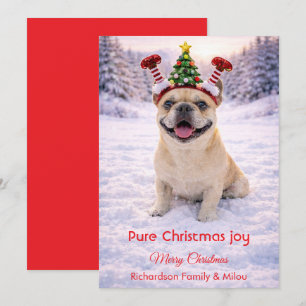 Söt hund med julcitats julkort
