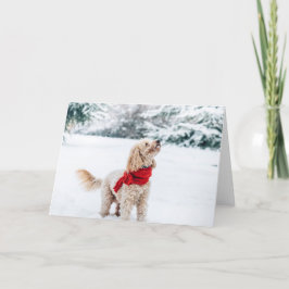 Söt hund med röd halsduk helgkort