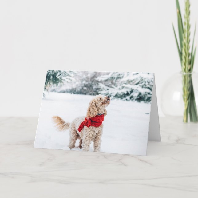Söt hund med röd halsduk helgkort (Framsida)