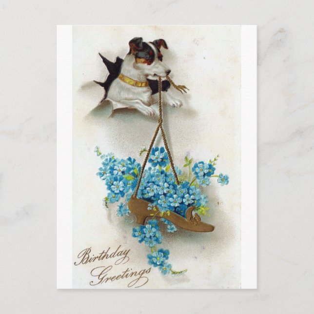 Söt hund och sko födelsedagsgratulationer vykort (Framsida)