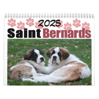 Söt hundras Sankt Bernhard Valp Kalender