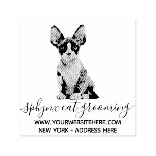 Söt husdjur Sphynx katt groomer Självfärgande Stämpel