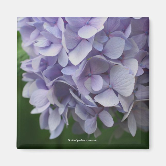 Söt Hydrangea Flower Photo Magnet - Anpassat (Framsidan)