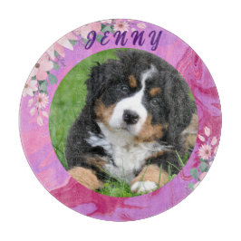 Söt i det moderna Rosa spjutspets