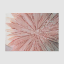 Söt i Rosa av mjukpapper