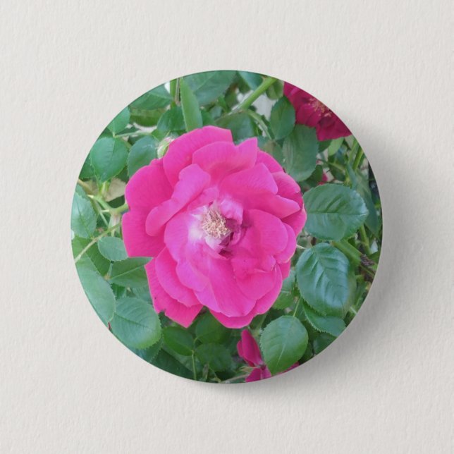Söt i Rosa blomma Knapp (Framsida)