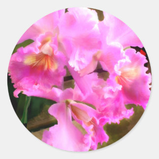 Söt i Rosa Cattleya Orchids Runt Klistermärke