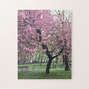 Söt i Rosa Cherry Blommar Träd NYC New York Pussel