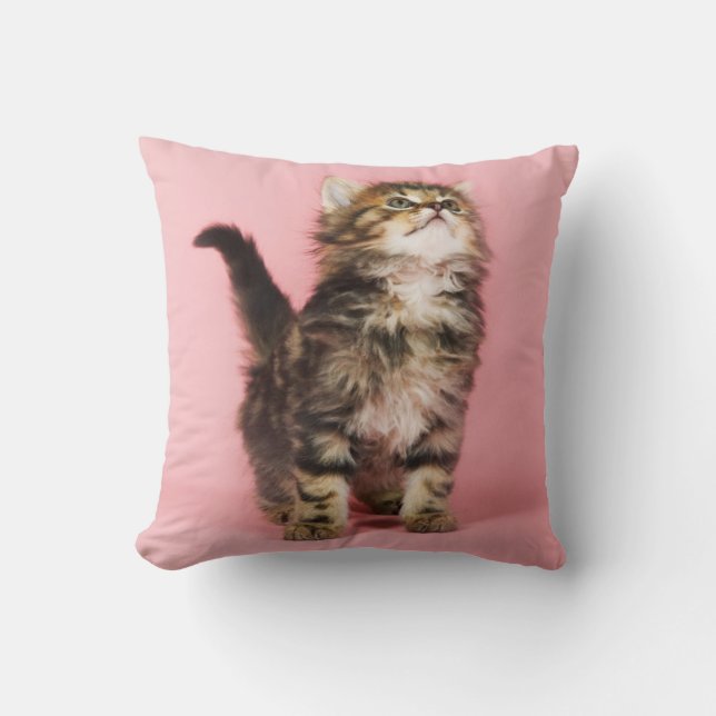 Söt i rosa kattunge kudde (Framsida)