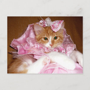 Söt i rosa kattunge vykort