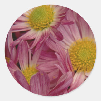 Söt i Rosa: Kuvertförseglingar Runt Klistermärke