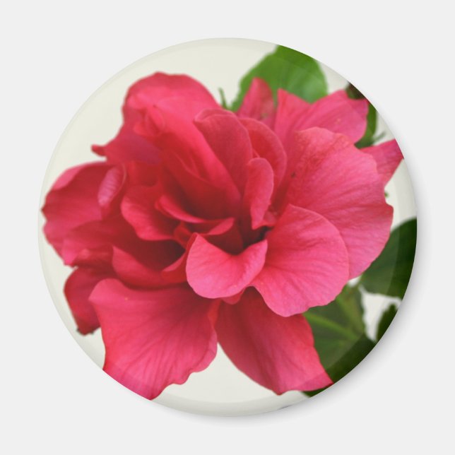 Söt i Rosa - Magnet (Framsidan)