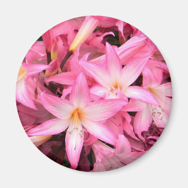 Söt i Rosa.. Magnet (Framsidan)