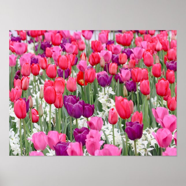 Söt i Rosa Petals Poster (Framsidan)