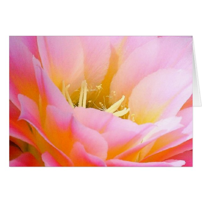 SÖT i ROSANS BLOMMIGT OBS Kort (Framsidan Horizontal)