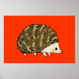 Söt igelkott poster