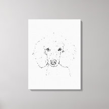 Söt illustration av pudel, handritad