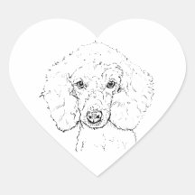 Söt illustration av pudel, handritad