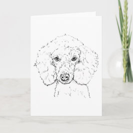 Söt illustration av pudel, handritad kort