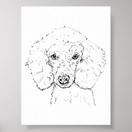 Söt illustration av pudel, handritad poster