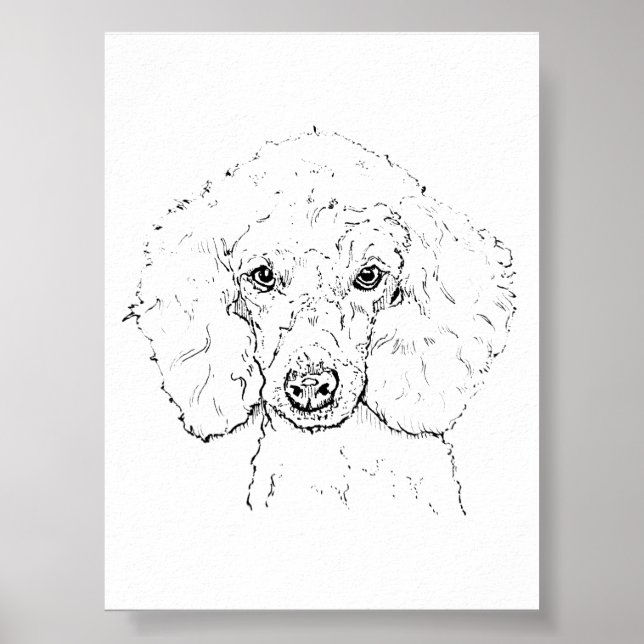 Söt illustration av pudel, handritad poster (Framsidan)