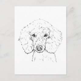 Söt illustration av pudel, handritad vykort