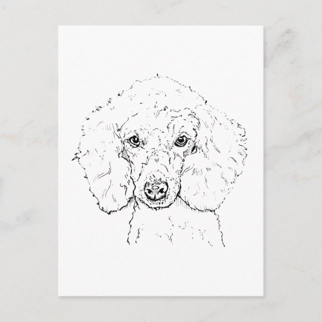 Söt illustration av pudel, handritad vykort (Framsida)