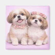 Söt illustration av Shih Tzu-par på Alla hjärtans