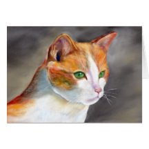 Söt ingerkatt (a348)