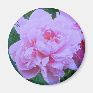 "Söt inom Rosa" Magnet