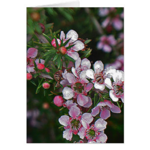 Söt inom rosan hälsningskort