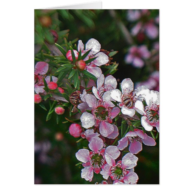 Söt inom rosan hälsningskort (Framsidan)