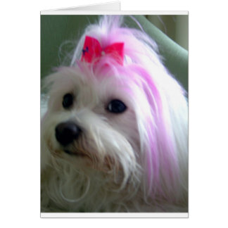 Söt inom Rosan Hälsningskort