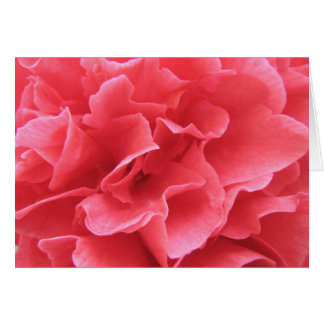 Söt inom Rosan Hälsningskort