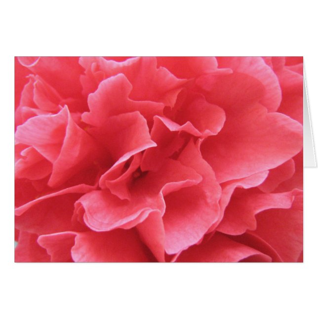 Söt inom Rosan Hälsningskort (Framsidan Horizontal)