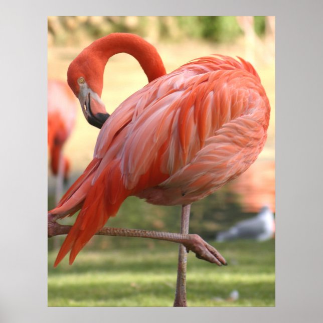 Söt inom rosan poster (Framsidan)