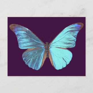 Söt Iridescent Blue Butterfly Vykort