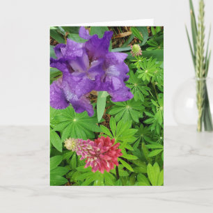 Söt Iris och Lupine Blommigt Moster födelsedag Kort