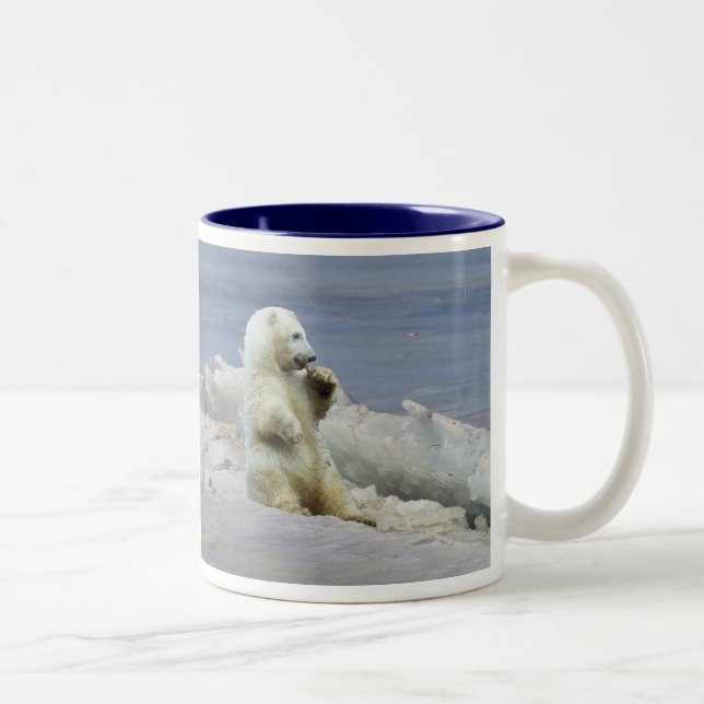 Söt isbjörnsunge & Arktisk is Kaffe kopp (Höger)