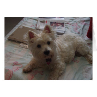 Söt jack-kort! hälsningskort