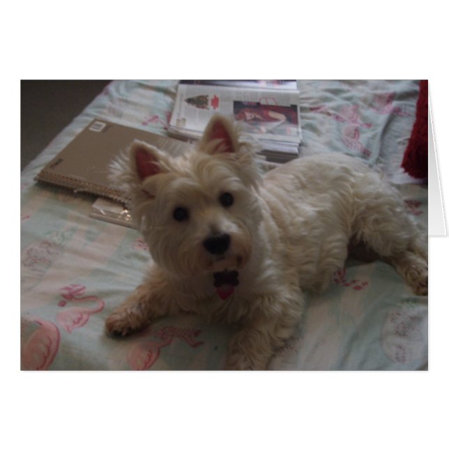 Söt jack-kort! hälsningskort (Framsidan Horizontal)