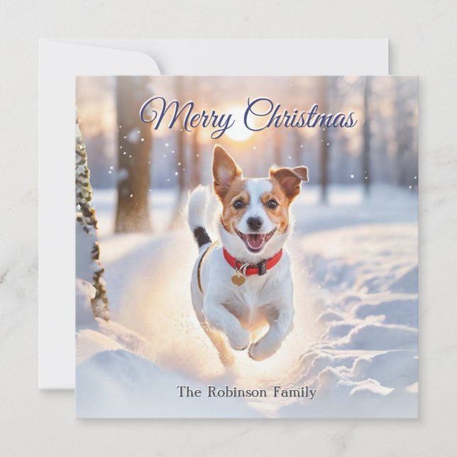 Söt Jack Russell hund Vinter Snö Jul Julkort (Framsida)