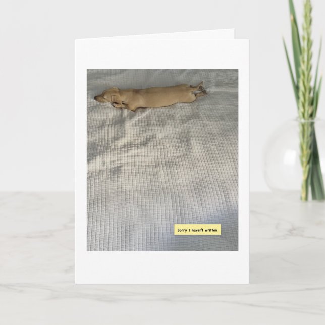 Söt Jag Har Varit Upptagen Dachshund Kort (Framsida)
