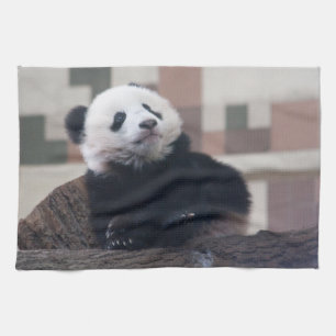 Söt jätte- Pandababy Kökshandduk