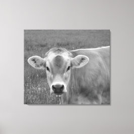 Söt Jersey Cow Porträtt Canvastryck