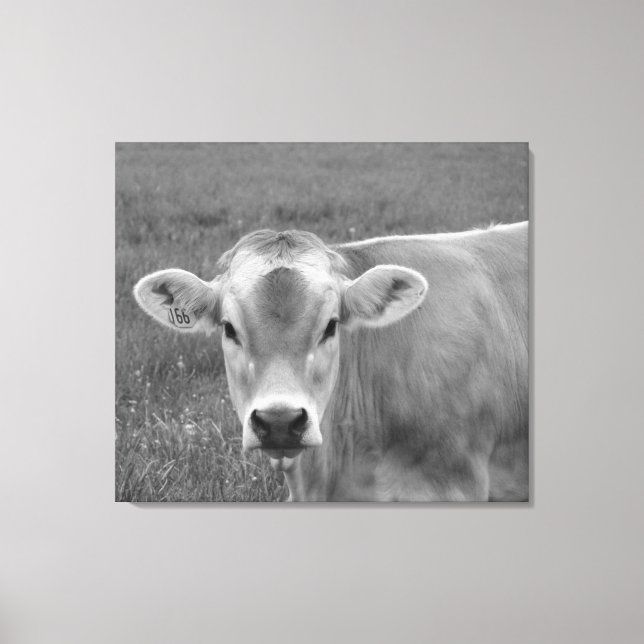 Söt Jersey Cow Porträtt Canvastryck (Framsida)