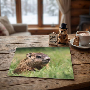 Söt jordpungsvis som tittar på grönt gräs foto vykort