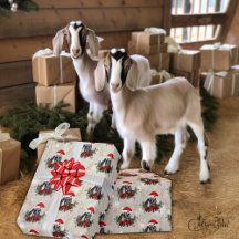 Söt Jul Goat Nubian Kid Utandning litet