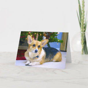 Söt julCorgi Helgkort